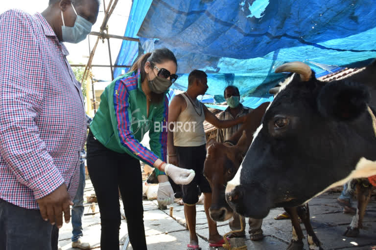 Actress Ragini dwivedi