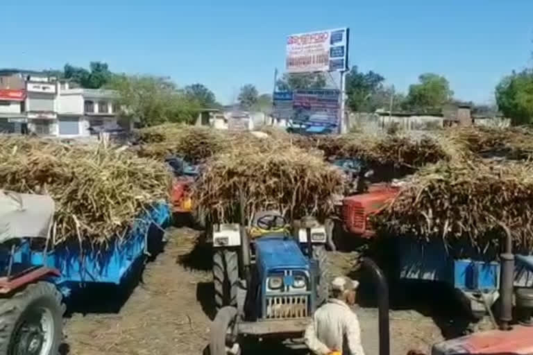 Sugarcane Farmers