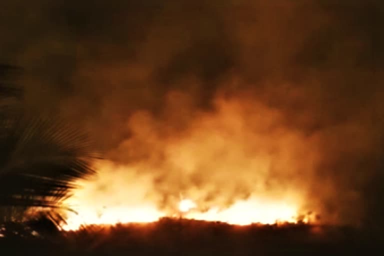 காட்டு தீ  வனப்பகுதி தீ விபத்து  திருப்பத்தூர் வனப்பகுதி தீ விபத்து  Forest Fire  Thirupattur Forest Fire