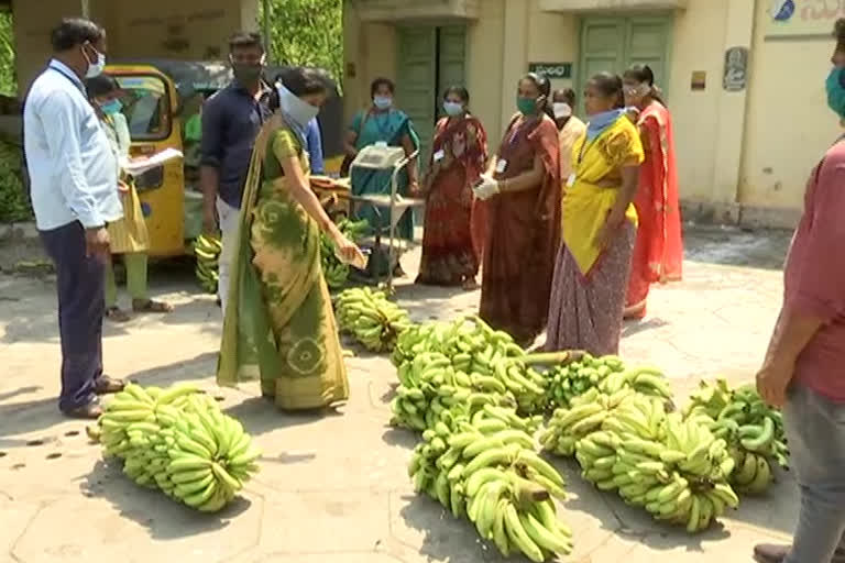 kadapa banana supply in  ongole