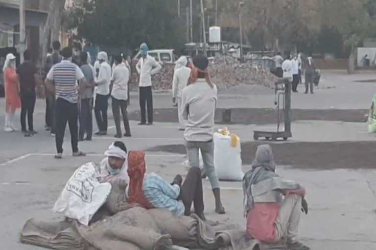 farmers facing difficulty in selling mustard crop in sohna mandi