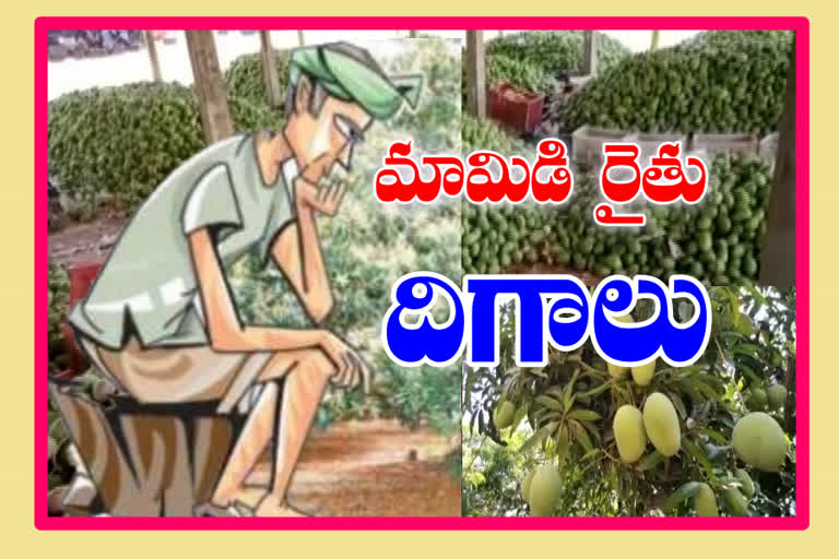 Mango Farmer Trouble