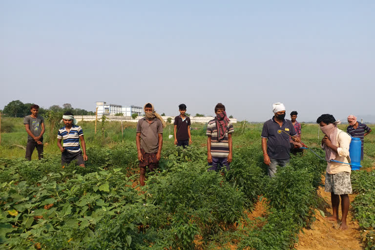 Farmers' reaction after lockdown relaxation