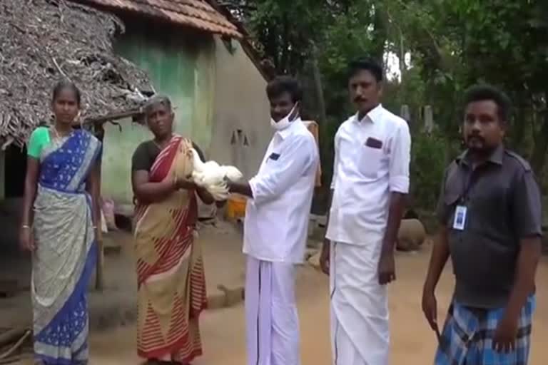 மக்களுக்கு கோழிகளை இலவசமாக வழங்கிய கவுன்சிலர்