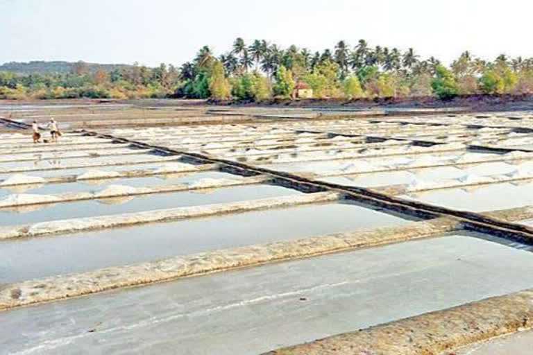 CORONA EFFECT ON SALT BUISNESS IN SINDHUDURG