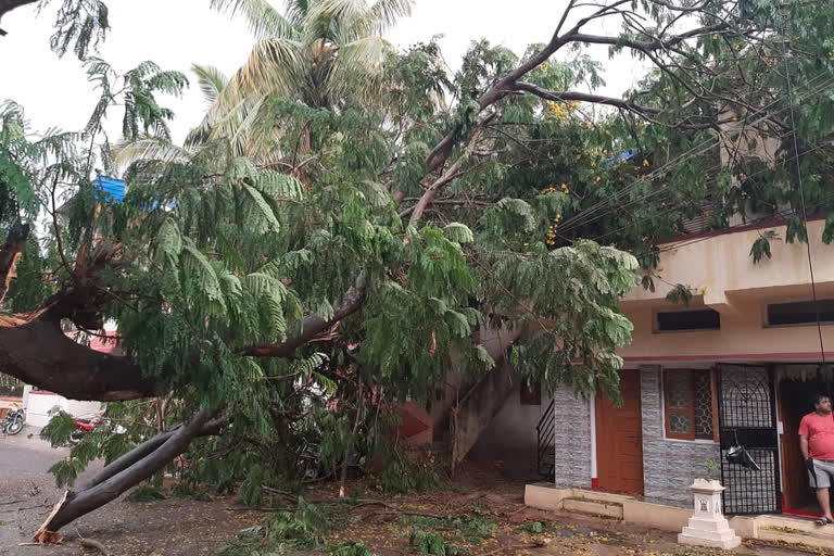 ವಾಣಿಜ್ಯನಗರಿಯಲ್ಲಿ ಅವಾಂತರ ಸೃಷ್ಟಿಸಿದ ಮಳೆರಾಯ