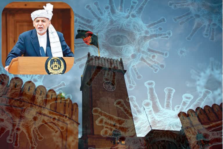 20 of Afghan president's palace staff have virus: officials