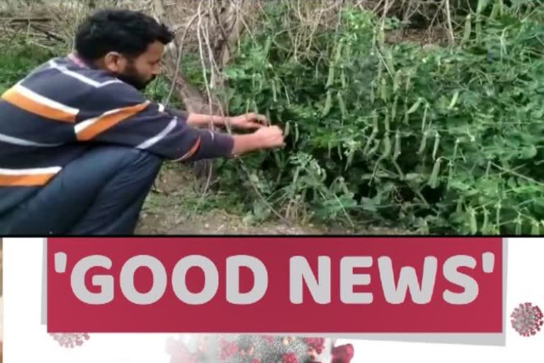 ex-serviceman-rakesh-bisht-is-doing-organic-farming-in-chamoli