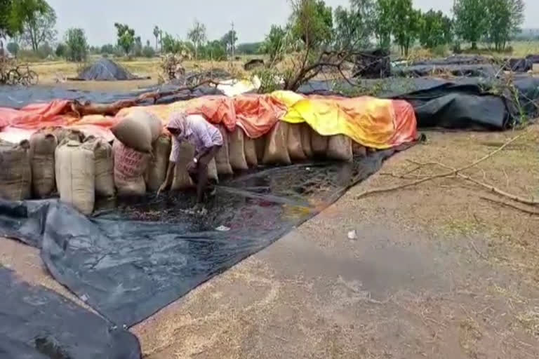 rain effect on farmers in siddipet