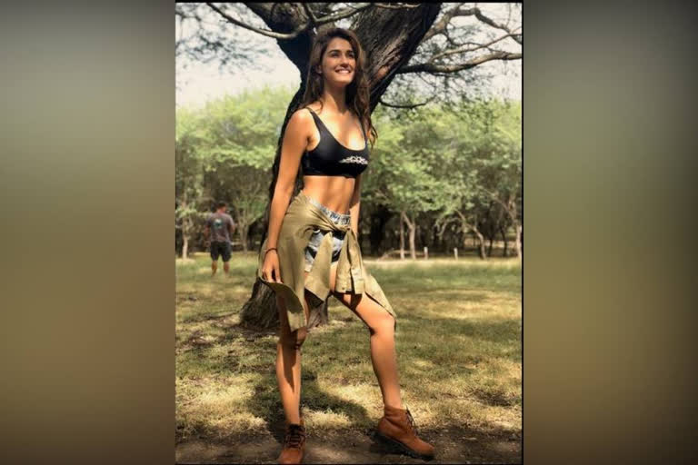 Disha patani, Disha patani dance video, Disha patani dance video viral on internet in lockdown, दिशा पाटनी, दिशा पाटनी डांस वीडियो, दिशा ने किया जबरदस्त डांस मूव्स