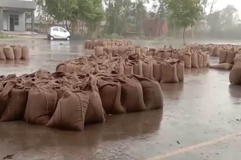 rain in rohtak