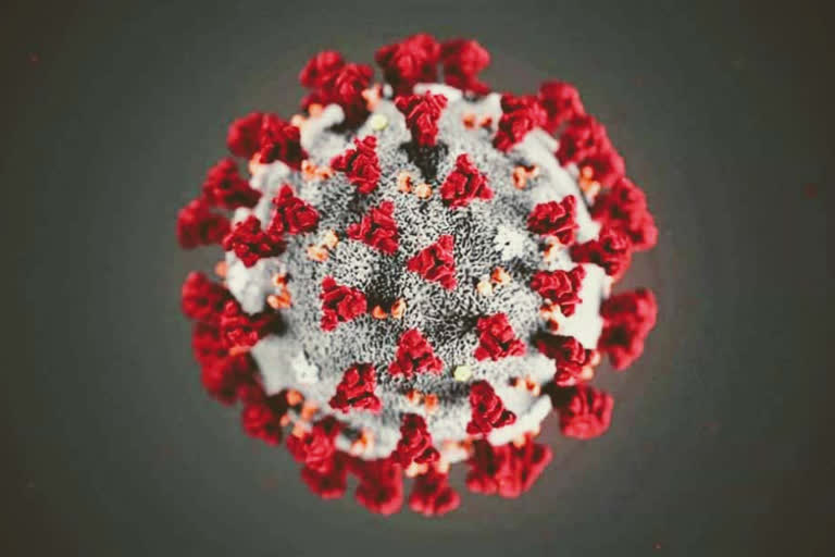 Third Corona Positive Case in Mahisagar