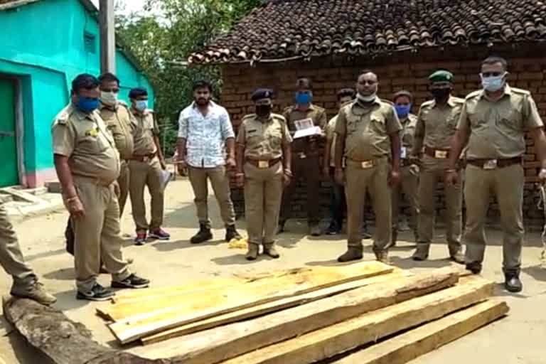 wood seized in kalahandi, kalahandi latest news, lakhs rupees of sagwan wood seized, wood mafia, କଳାହାଣ୍ଡିରେ ଚଢାଉ, କାଠ ମାଫିଆ, ଲକ୍ଷାଧିକ ଟଙ୍କାର ଶାଗୁଆନ କାଠ ଜବତ, କଳାହାଣ୍ଡି ଲାଟେଷ୍ଟ ନ୍ୟୁଜ୍‌