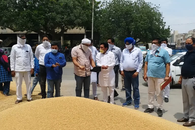 wheat purchase started in sirsa grain market