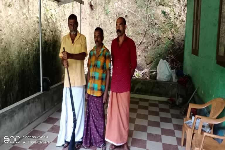 hunters arrested in idukki  തോക്കുമായി നായാട്ട് സംഘം  ഇടുക്കി വനപാലക സംഘം  നേര്യമംഗലം ഫോറസ്റ്റ് സ്‌റ്റേഷന്‍  നായാട്ട് സംഘം അറസ്റ്റില്‍