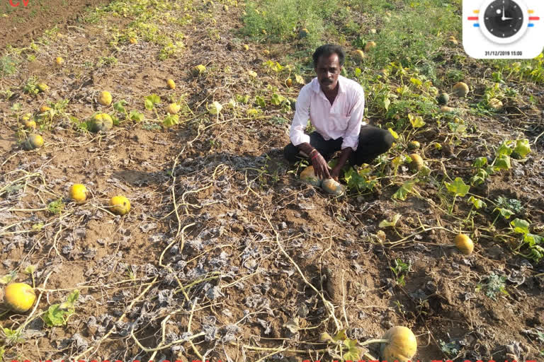 farmer Appealed For the T.C