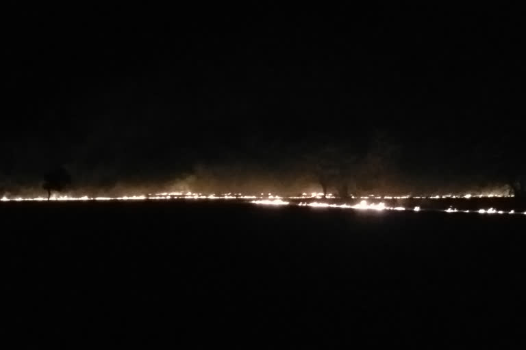 Farmers are burning stubble in the dark of night even after the ban of National Green Tribunal in