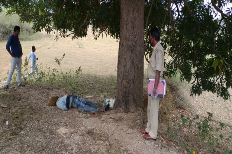 Body of unknown found under mango tree,