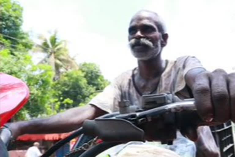 a coconut tree climber