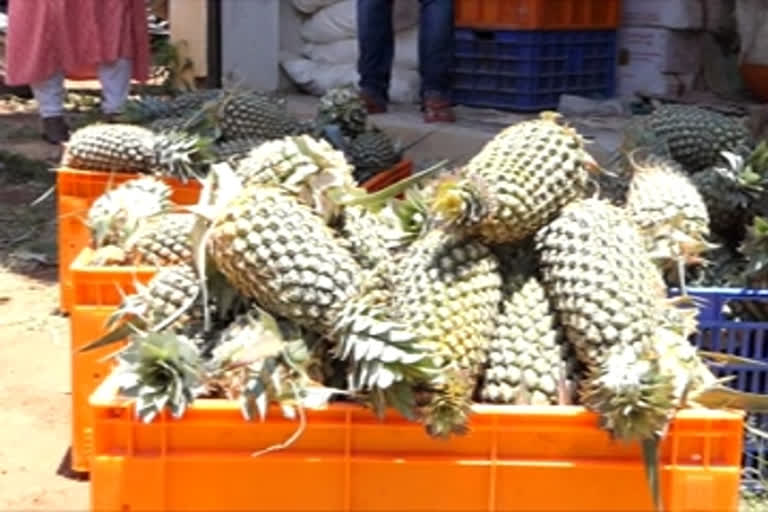 idukki nedumkandam block farmers pineapple challenge  പൈനാപ്പിള്‍ ചലഞ്ച്  ഇടുക്കി കര്‍ഷകര്‍  കര്‍ഷകര്‍ പൈനാപ്പിള്‍ ചലഞ്ച്  pineapple challenge  ലോക്ക് ഡൗണ്‍