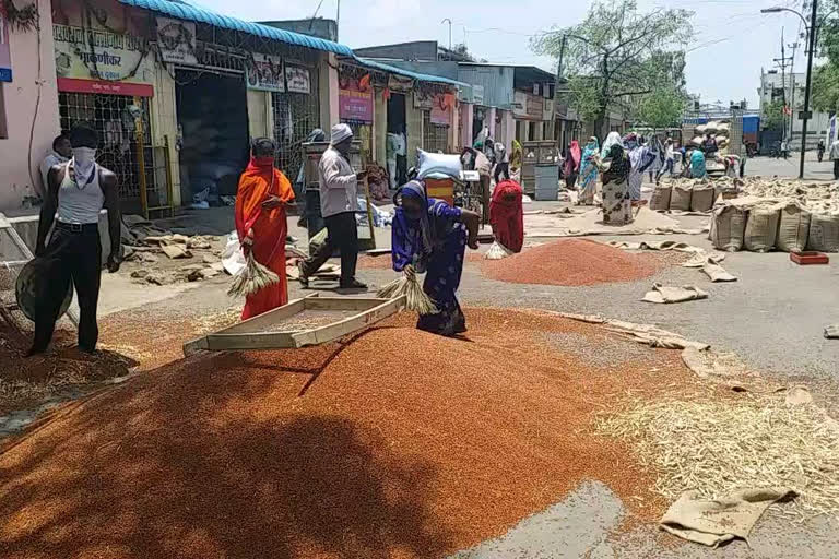 latur apmc  लातूर कृषी उत्पन्न बाजार समिती  लॉकडाऊन परिणाम  lockdown effect