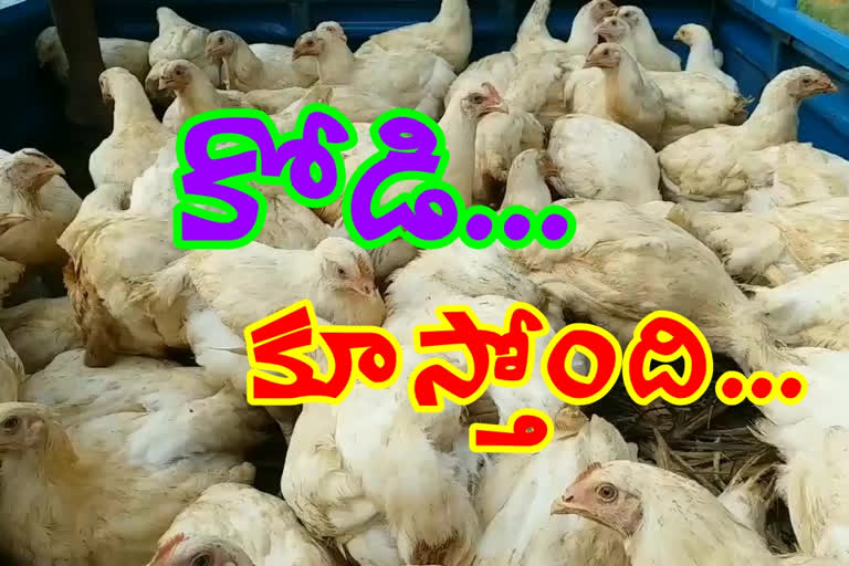 Hugely increased chicken prices