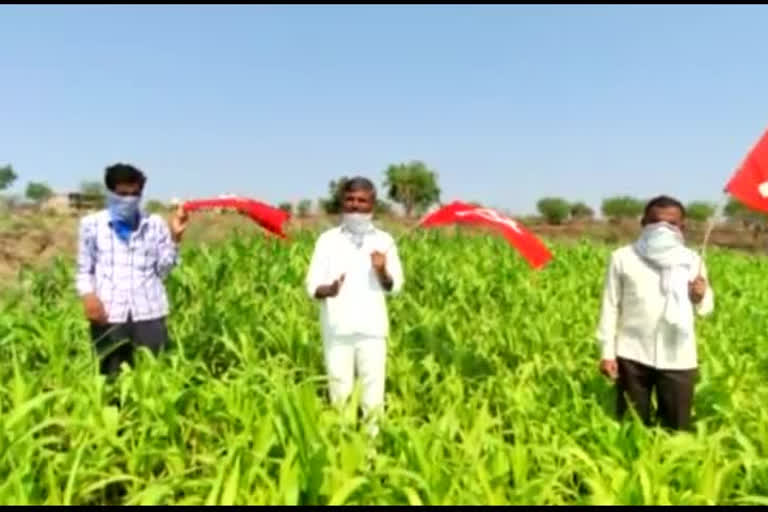 Protests by the Coalition Farmers' Union kalaburagi