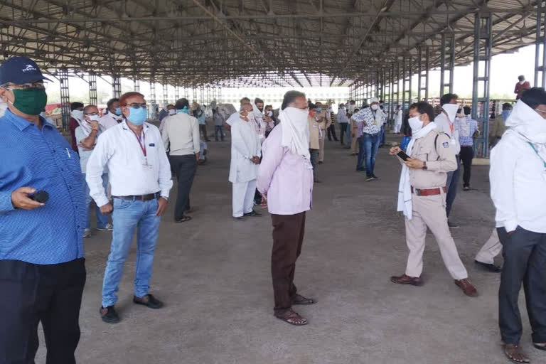 The procurement of crops started from today in the grain market in khandwa