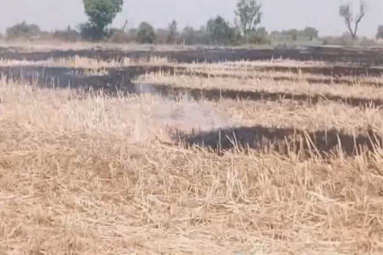 parali burning ban in palwal district