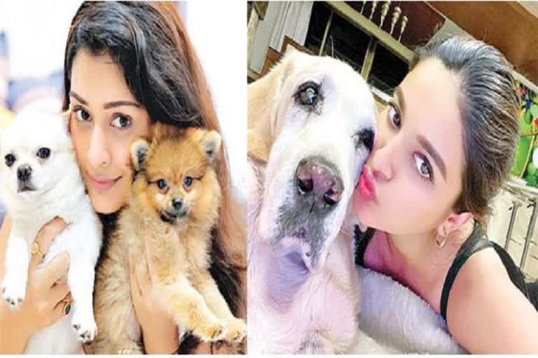 celebrities loving their puppies