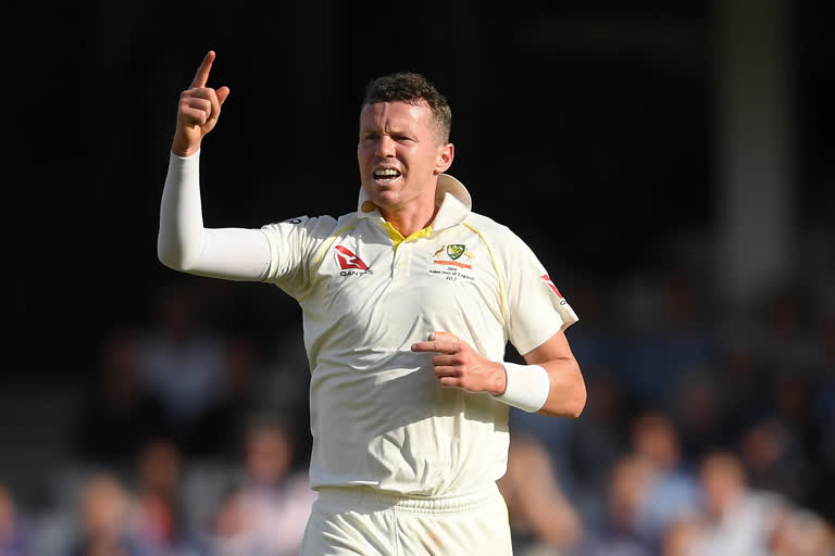 Peter siddle