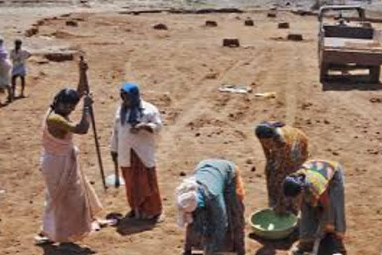 1 lakh 4 thousand laborers will get work under MNREGA in Rajnandgaon