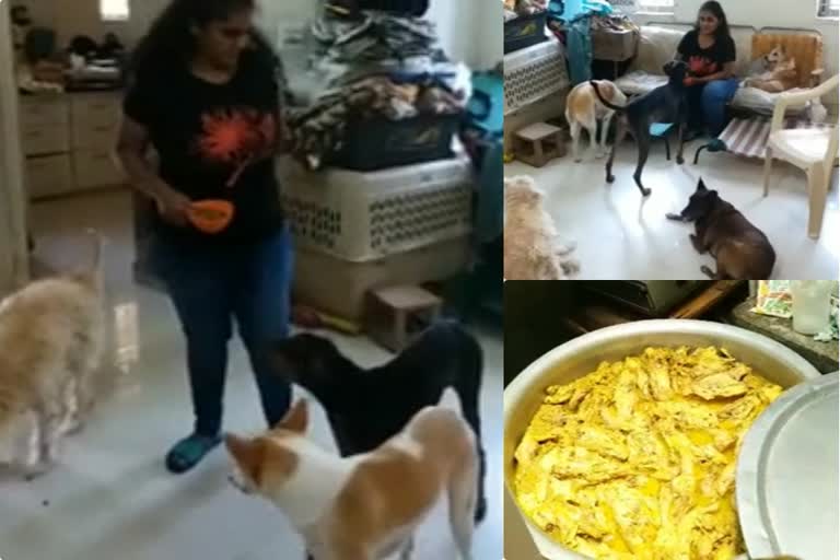 A lady in Siliconcity feeding 1200 street dogs per day