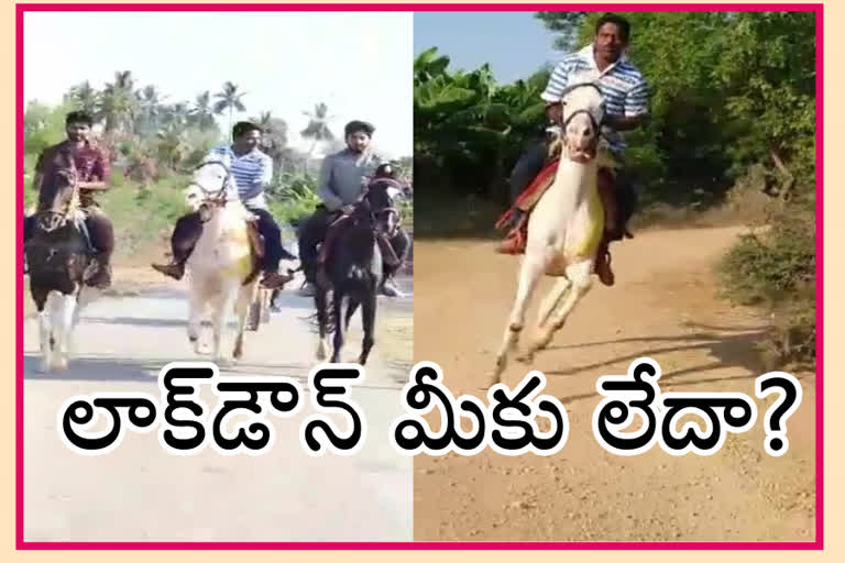 ignoring the lockdown and Akepati Srinivasula Reddy Riding a horse at akepadu in kadapa district