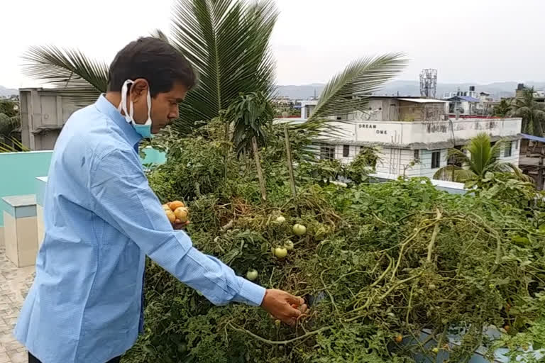 COVID-19 Lockdown: Roof top gardening solving problem of veggies scarcity