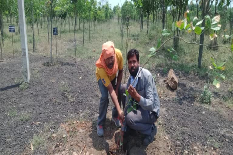 Journalists planted plants on the occasion of World Earth Day