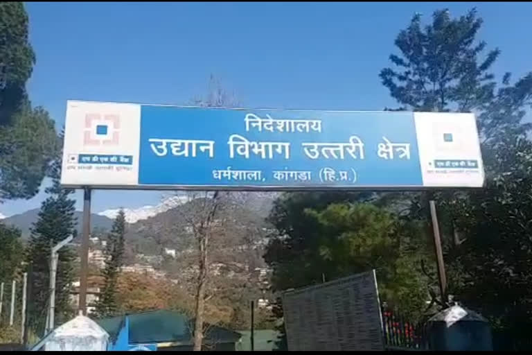 उद्यान विभाग