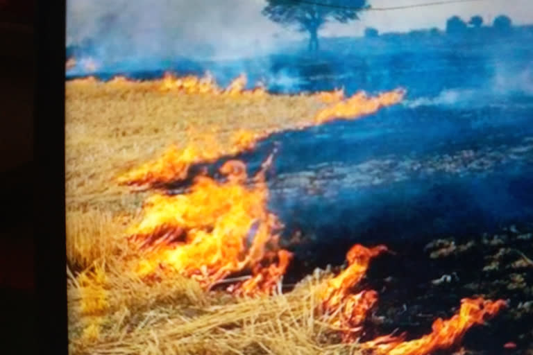 burning-stubble-of-farmers-in-indore-increases-pollution