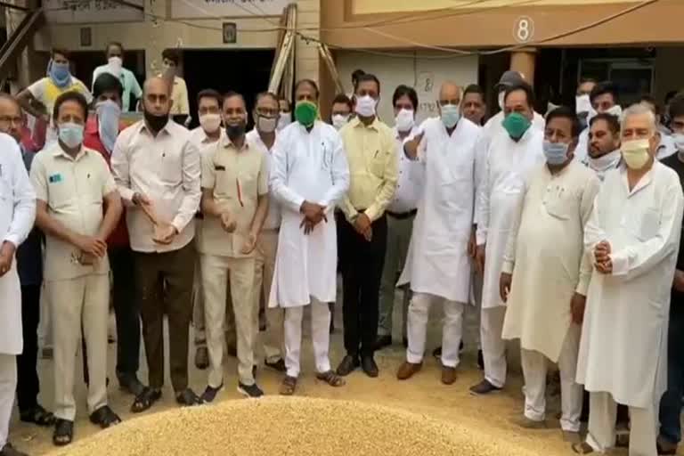 fatehabad wheat purchase start