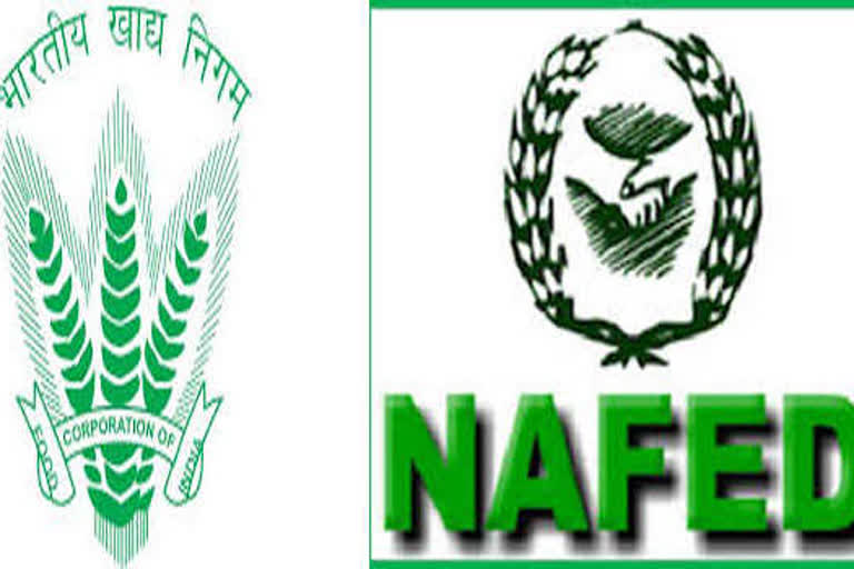 NAFED, FCI procure Pulses, Oilseeds worth Rs 1,313 Cr