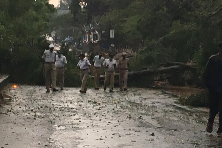 heavy  rain in tumakur Armored tree