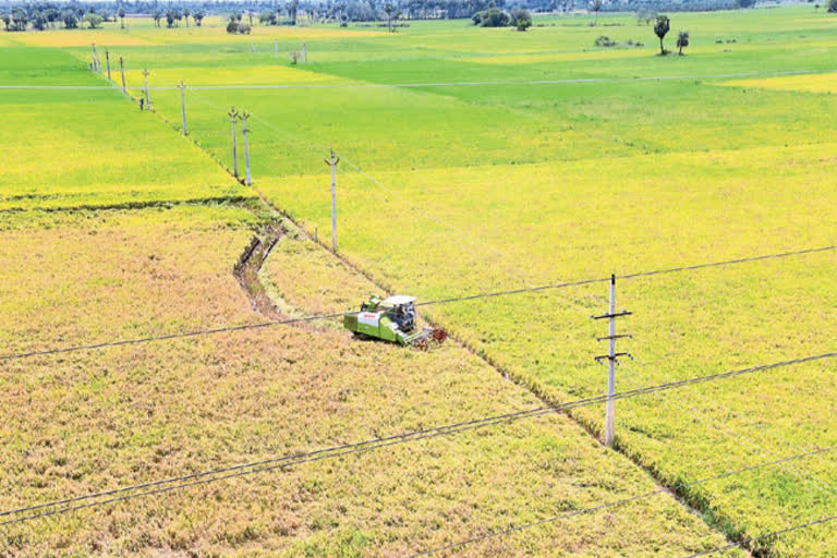 యంత్రాలకు 'వడ్లు' రాలతాయి