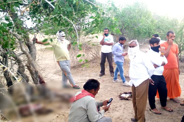 jodhpur news  bilara news  deer hunting in bilara forest  jodhpur villagers angry