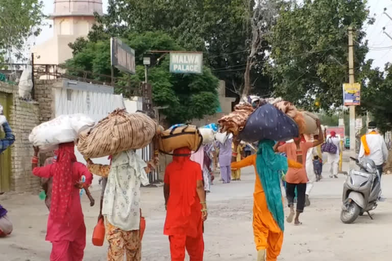 Shringganagar news, People going to Punjab, corona virus