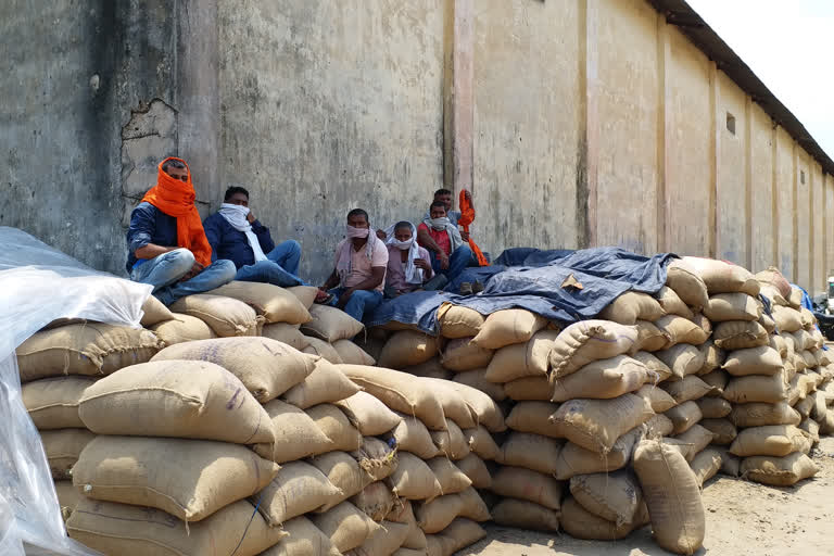 farmers are worried about the paddy in garhwa