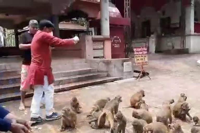 পদপথৰ জীৱ-জন্তুক খাদ্যৰ যোগান একাংশৰ