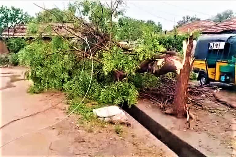 heavy-rain-in-akkannapalli-at-siddipet