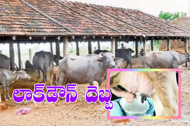 corona effect on milk industry in ap