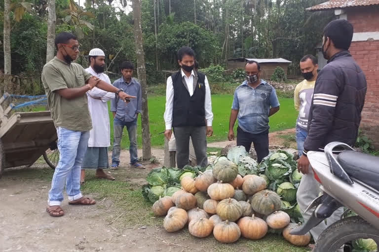 ৰঙিয়াৰ কৃষকলৈ সকাহ কৃষি বিভাগৰ