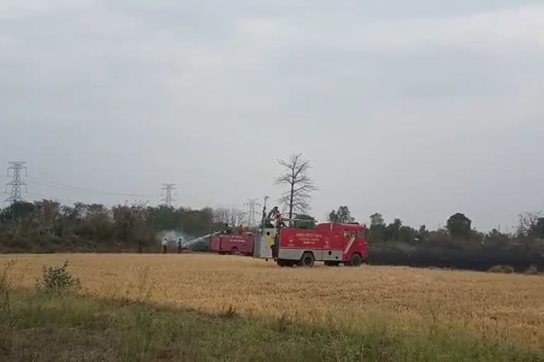 fire on crops